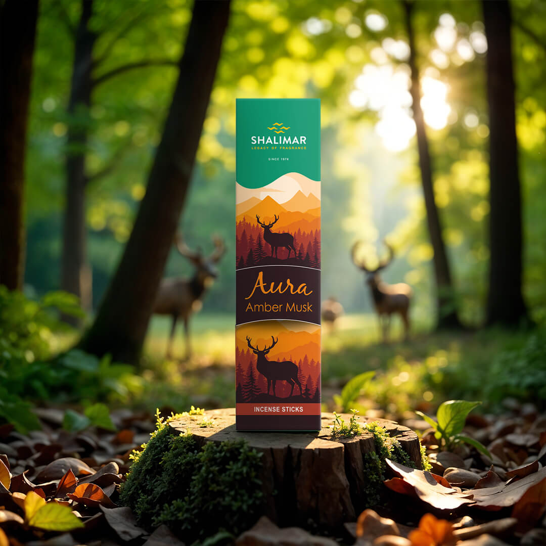 Aura - Pack of 12 Assorted Fragrances