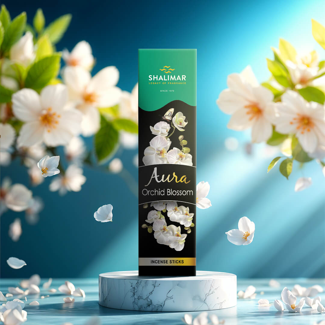 Aura - Pack of 12 Assorted Fragrances