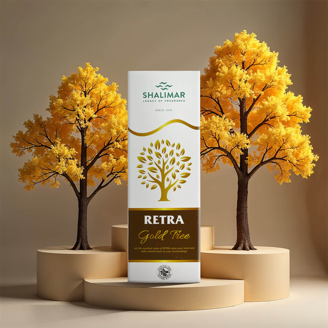 Retra Premium Packs - Pack of 12 Assorted Fragrances